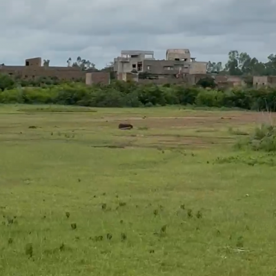 Screenshot 20250321 153529 2